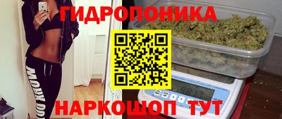 гидра Аргун