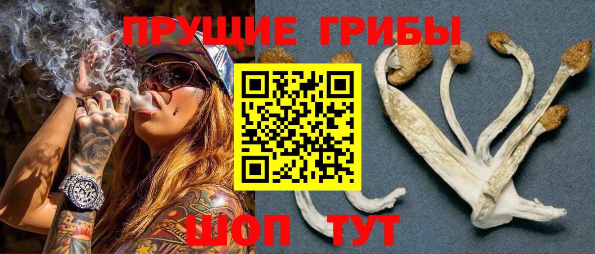 Галлюциногенные грибы Cubensis  Вход с VPN  Белебей 