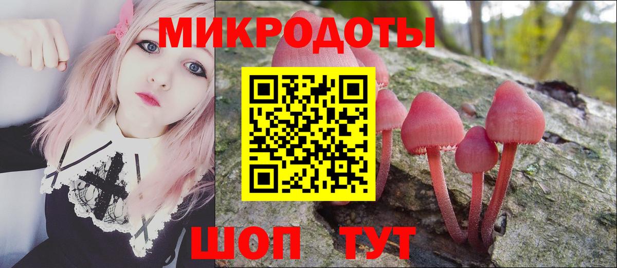 Псилоцибиновые грибы прущие грибы Белебей
